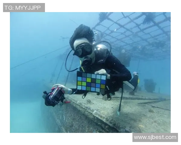 北京极限运动队意识对比深度解析与发展趋势探讨