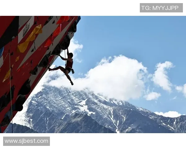 南京攀岩队在世界攀岩锦标赛中的速度表现分析与点评